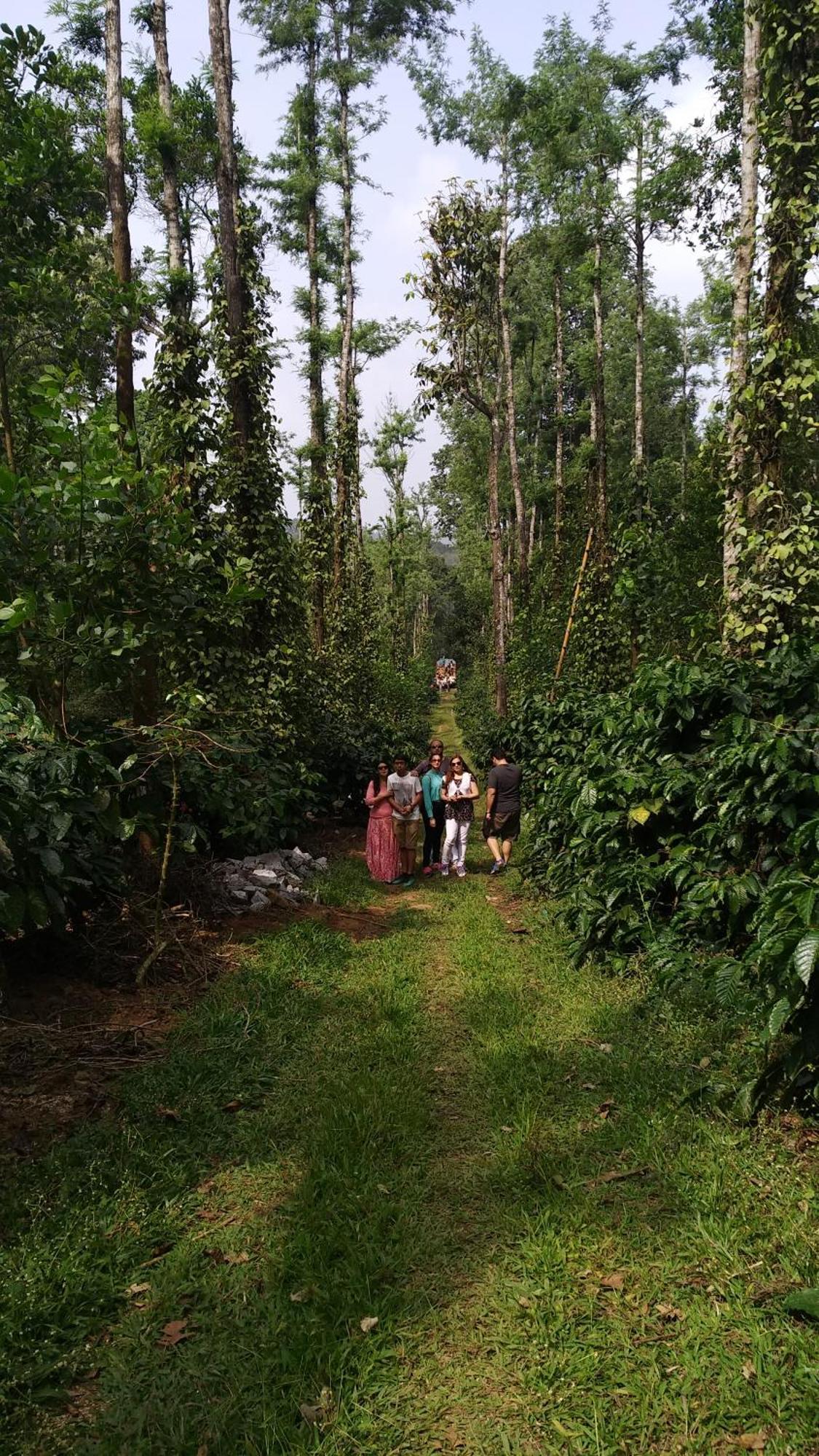 Heights Farm - Coffee Estate Farm stay *