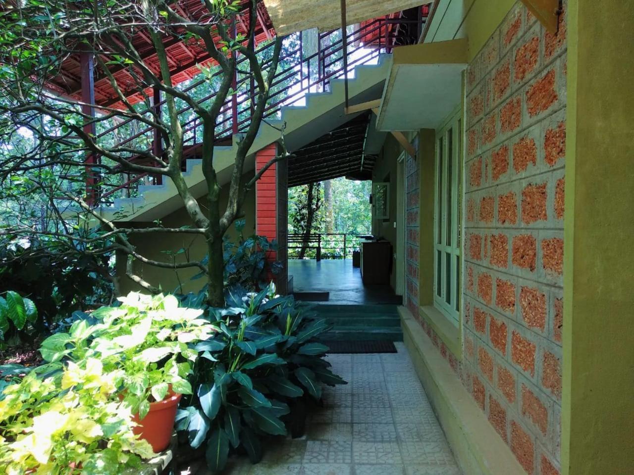 Heights Farm - Coffee Estate Farm stay *