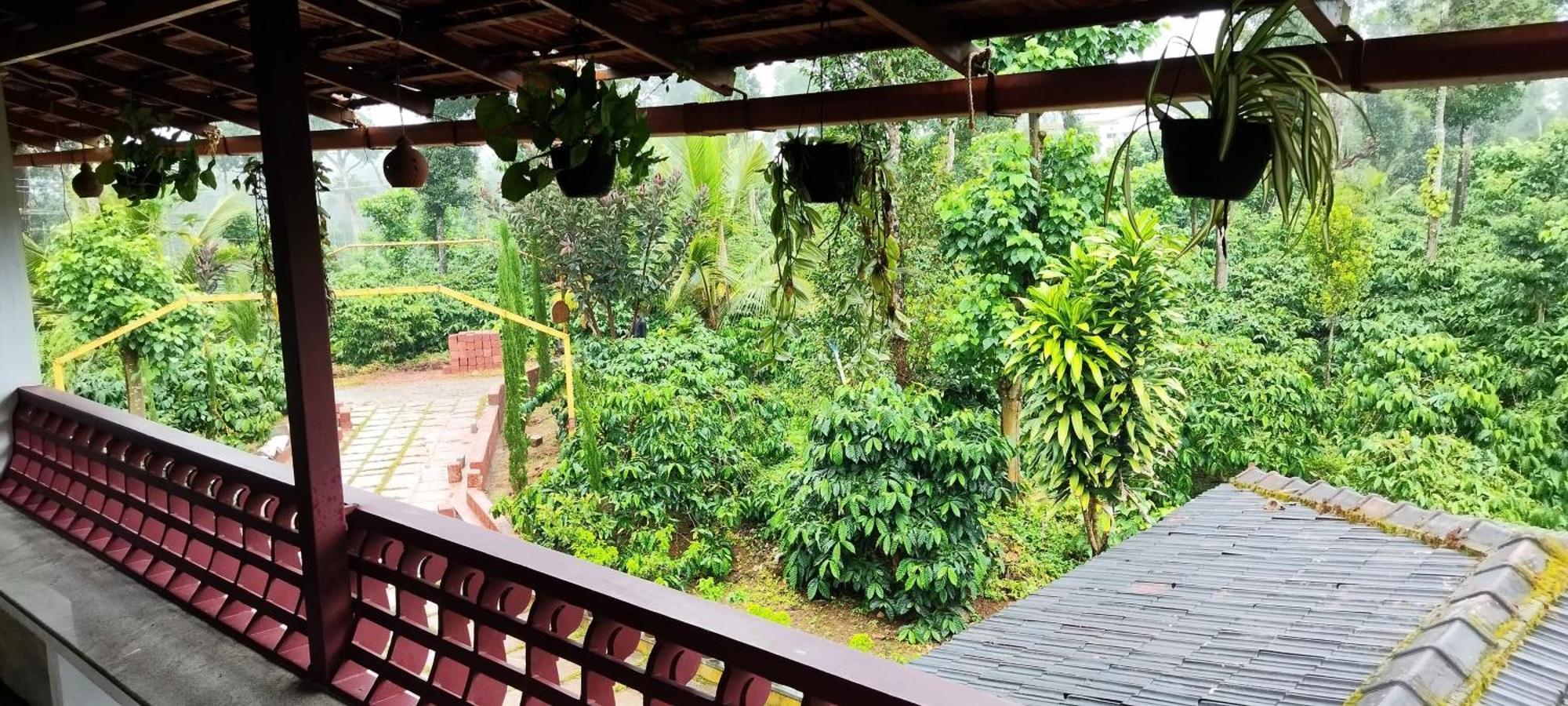Heights Farm - Coffee Estate Farm stay Madikeri